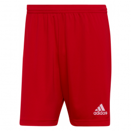 Short Adulte - ADIDAS - FCHT