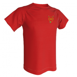 Tee-shirt basique Enfant - ENA