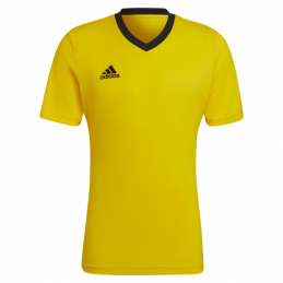 MAILLOT ENTRADA 22 HOMME