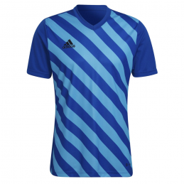 MAILLOT ENTRADA 22 GFX HOMME