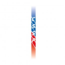Logo dos CSSP