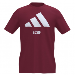 T-shirt coton Enfant -...