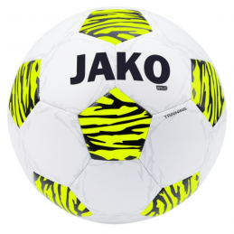 BALLON ENTRAINEMENT JAKO...