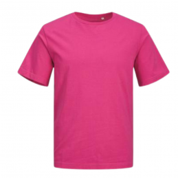 TEE-SHIRT CLASSIC H