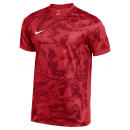 Maillot Nike Precision VII...