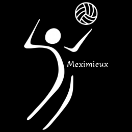 Logo blanc VCM