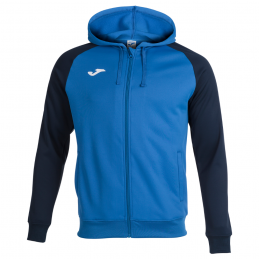VESTE CAPUCHE FZ ACADEMY IV...