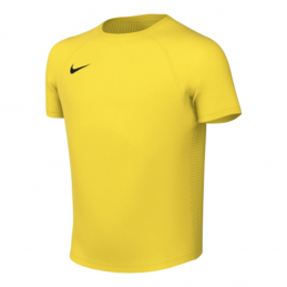 Maillot Nike Park VIII...