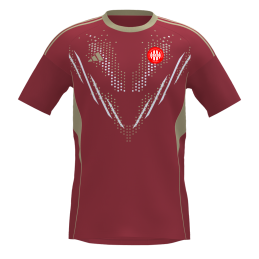 Maillot collector 30 ans...