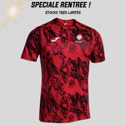Maillot Lion Adulte - JOMA...