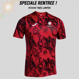 Maillot Lion Enfant - JOMA...