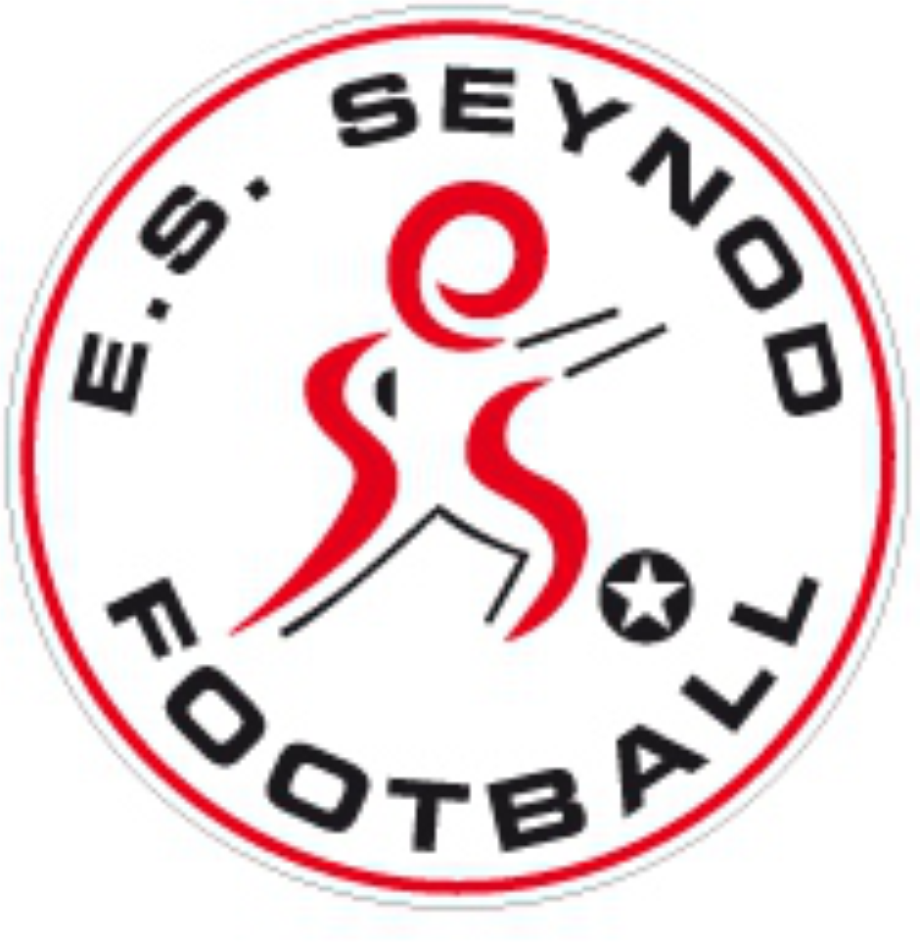Boutique de l'ES Seynod | TeamSport2000
			